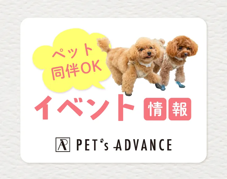 イベント情報のバナーと小型犬二匹